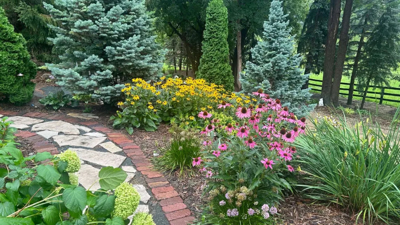Plants That Actually Thrive Through Minnesota Winters