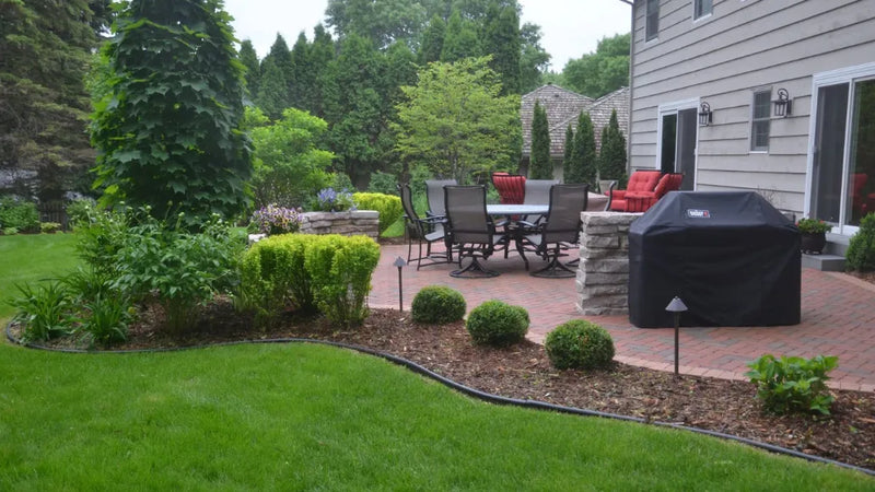 Spring Pruning 101: Timing is Everything