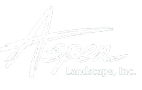Aspen Landscape